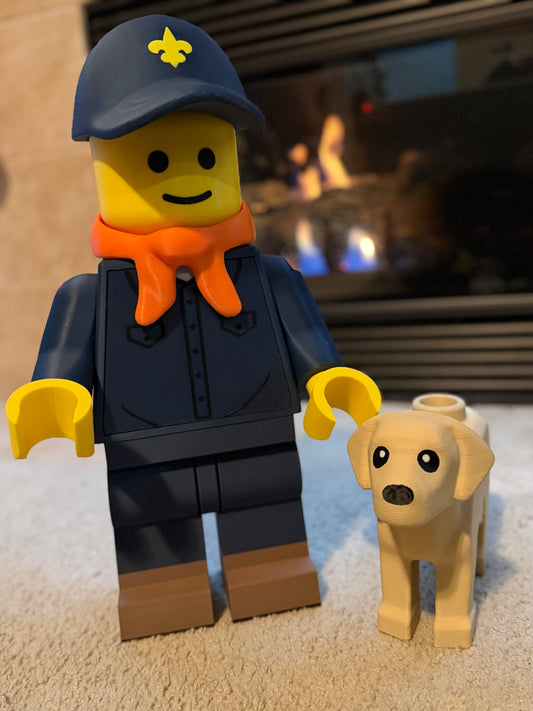 BigFig Labrador