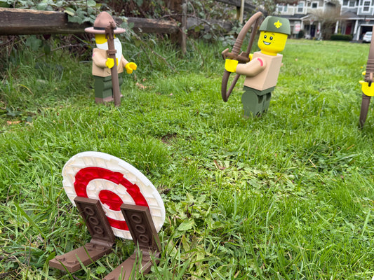 BigFig Archery Target