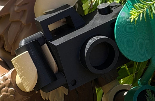 BigFig Camera